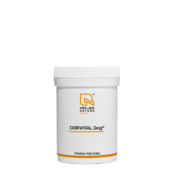 Bild von CORVITAL Dog® 35g Pulver