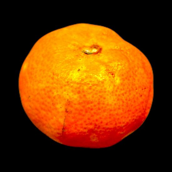 Bild von Veltliner (0,75)l